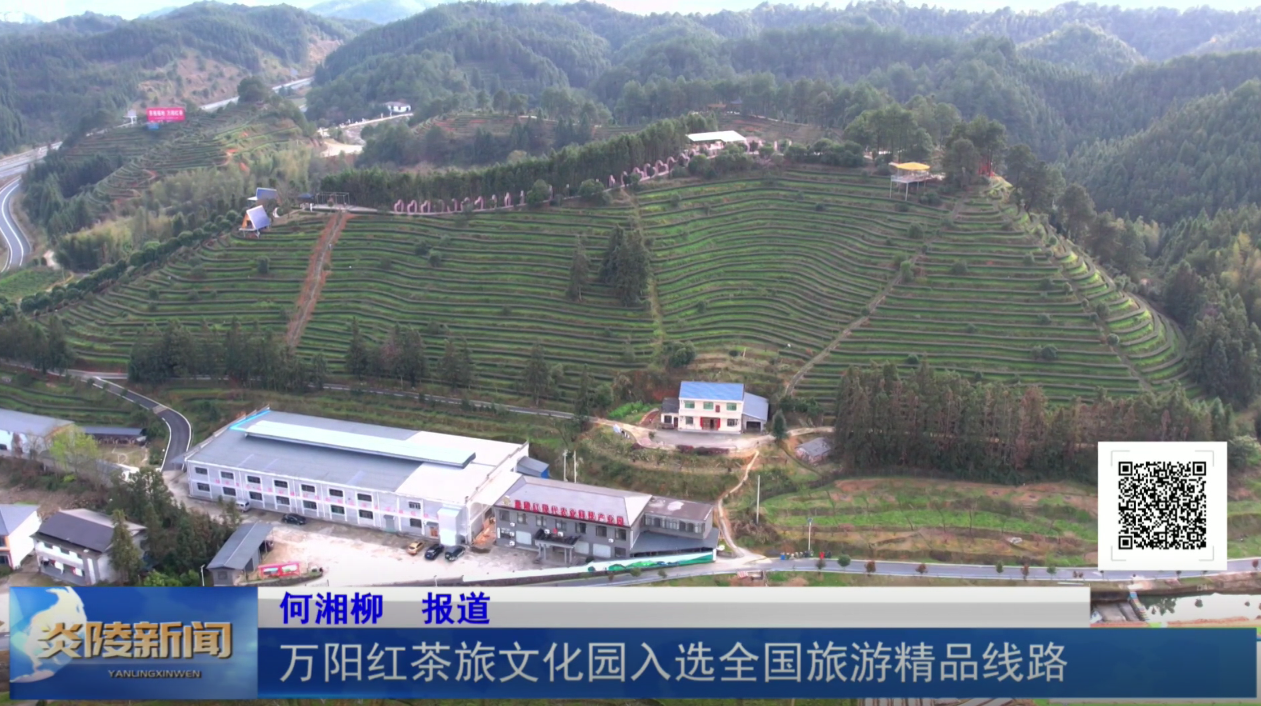 万阳红茶旅文化园入选全国旅游精品线路