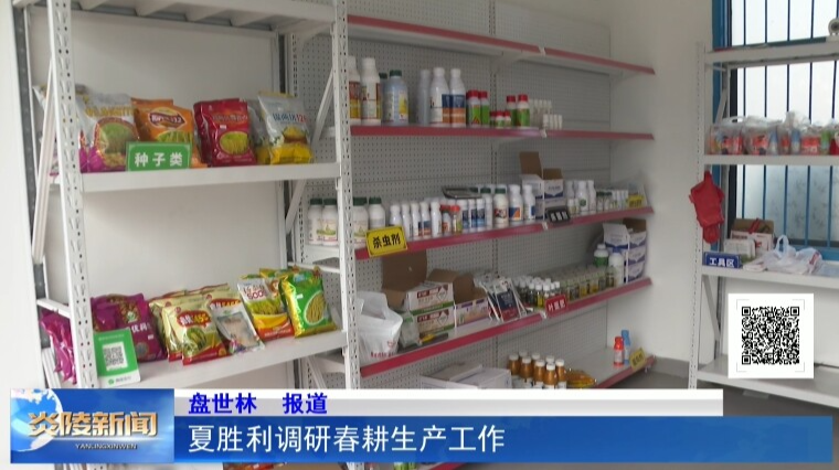 夏胜利调研春耕生产工作