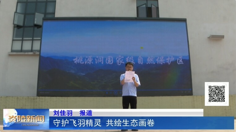守护飞羽精灵 共绘生态画卷