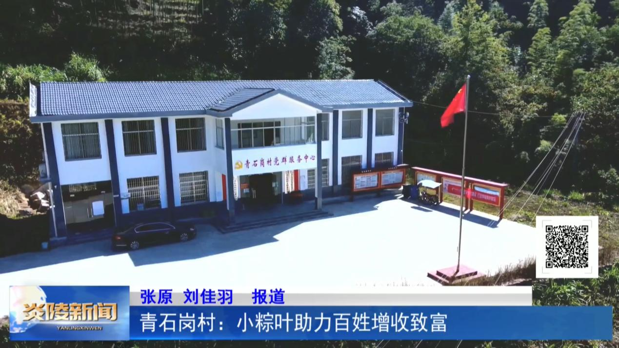 青石岗村：小粽叶助力百姓增收致富