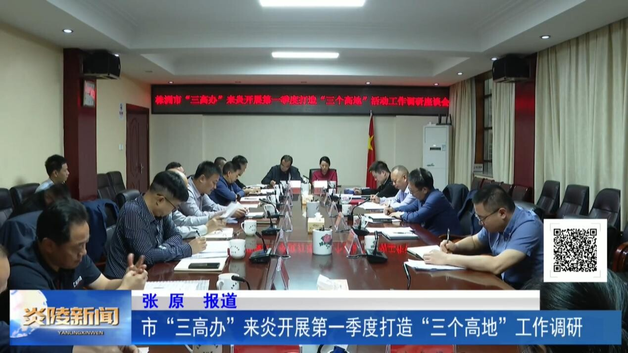 市“三高办”来炎开展第一季度打造“三个高地”工作调研