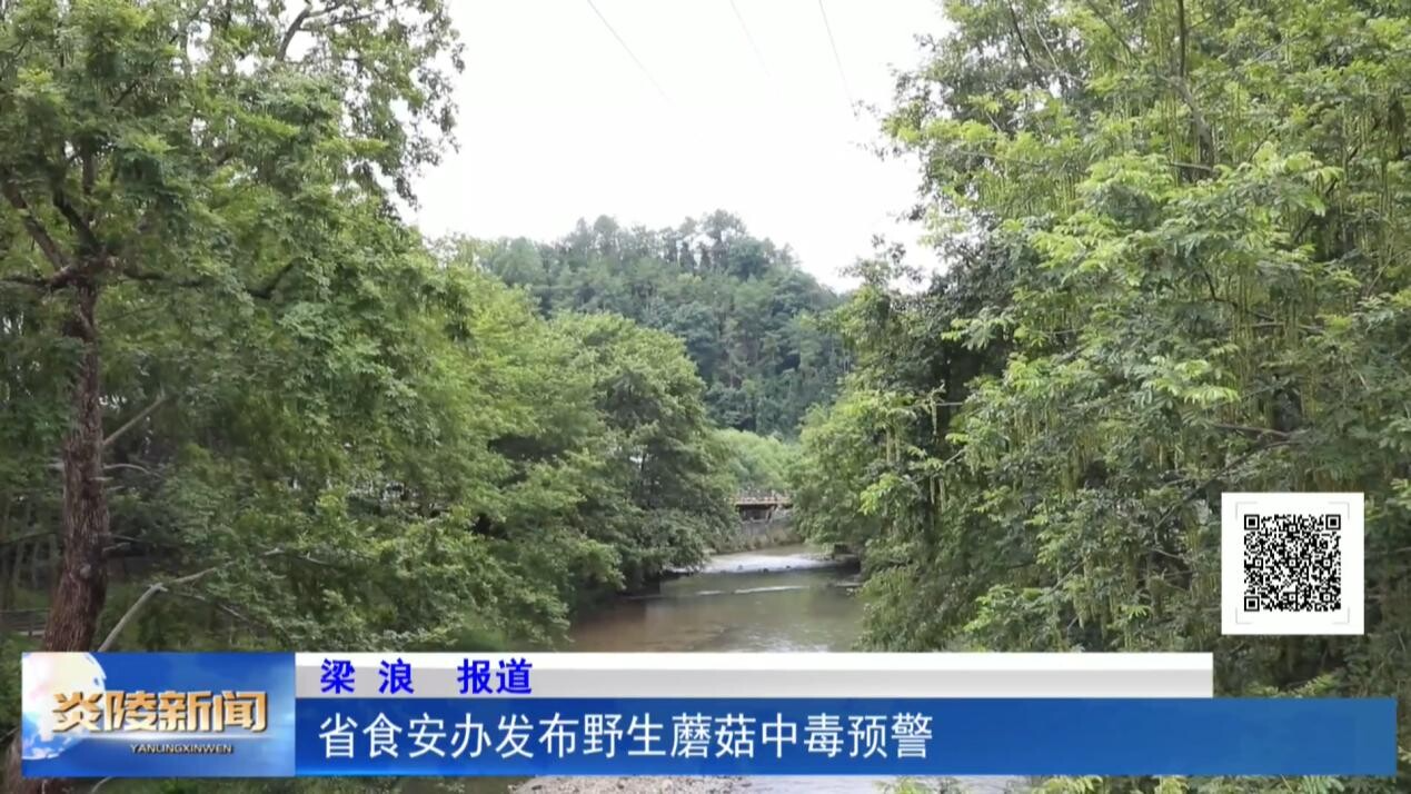 省食安办发布野生蘑菇中毒预警