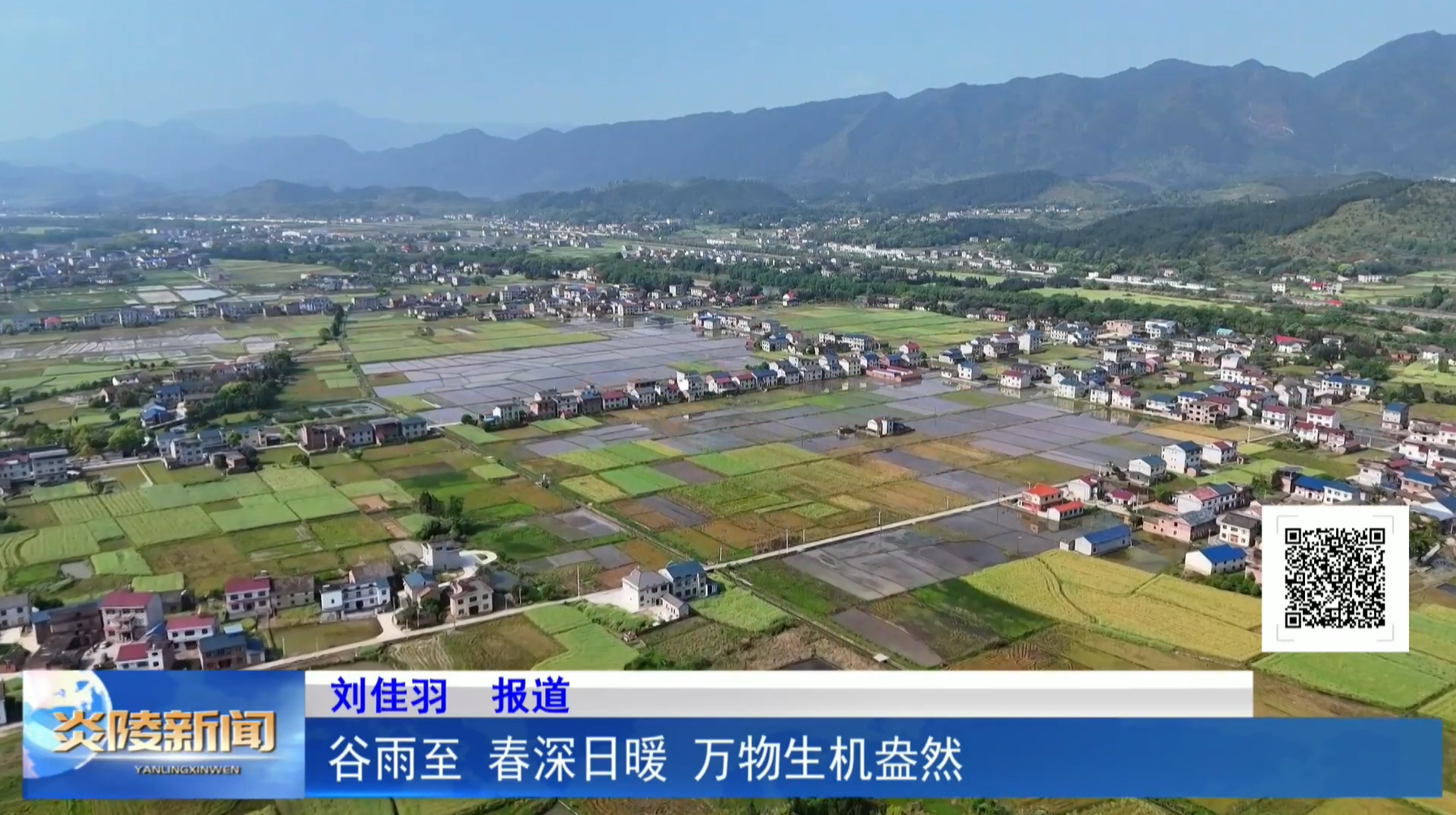 谷雨至 春深日暖 万物生机盎然