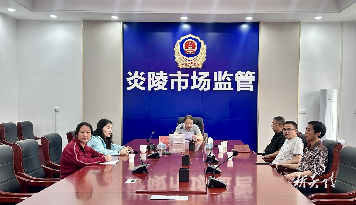 炎陵县市场监督管理局在全市药品监管工作会上作典型发言