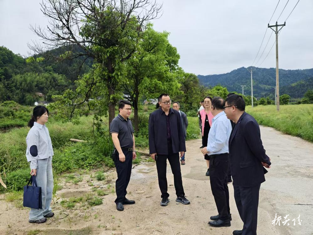 炎陵县沔渡镇：督导农田提质建设 夯实人大履职根基