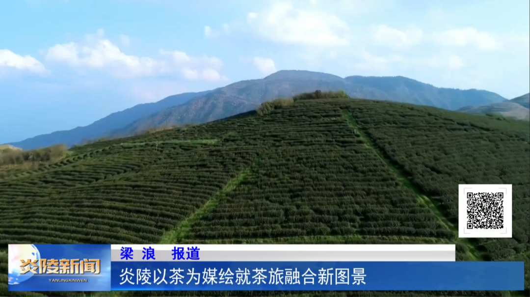 炎陵以茶为媒绘就茶旅融合新图景