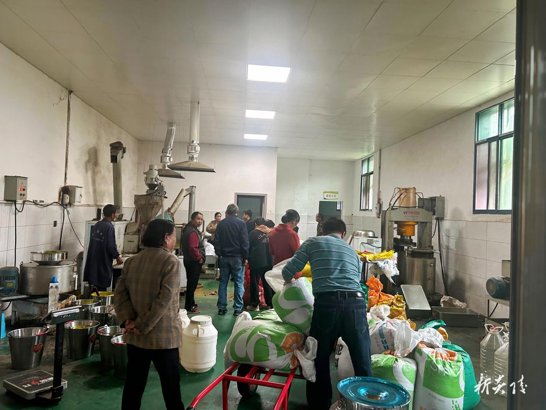炎陵县水口镇：小小榨油坊 “榨”出乡村新动能
