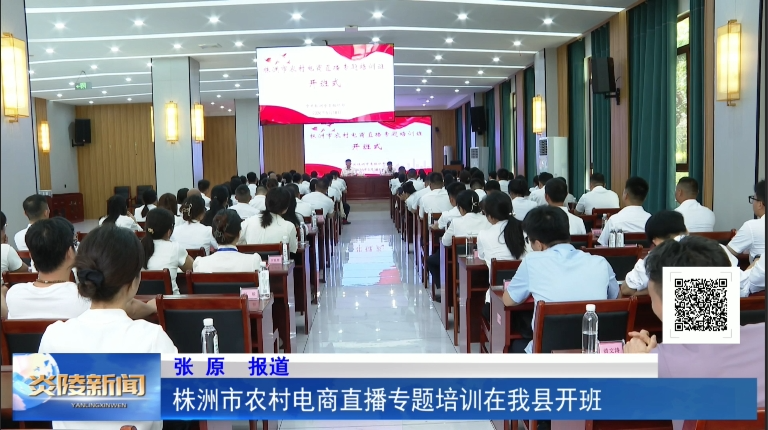 株洲市农村电商直播专题培训在我县开班