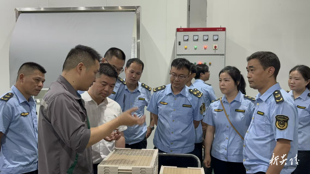 炎陵县市场监督管理局开展干部能力提升活动