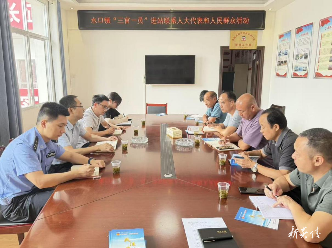 炎陵县水口镇人大主席团组织开展“三官一员”进站活动