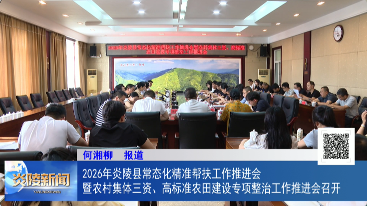2026年炎陵县常态化精准帮扶工作推进会暨农村集体三资、高标准农田建设专项整治工作推进会召开