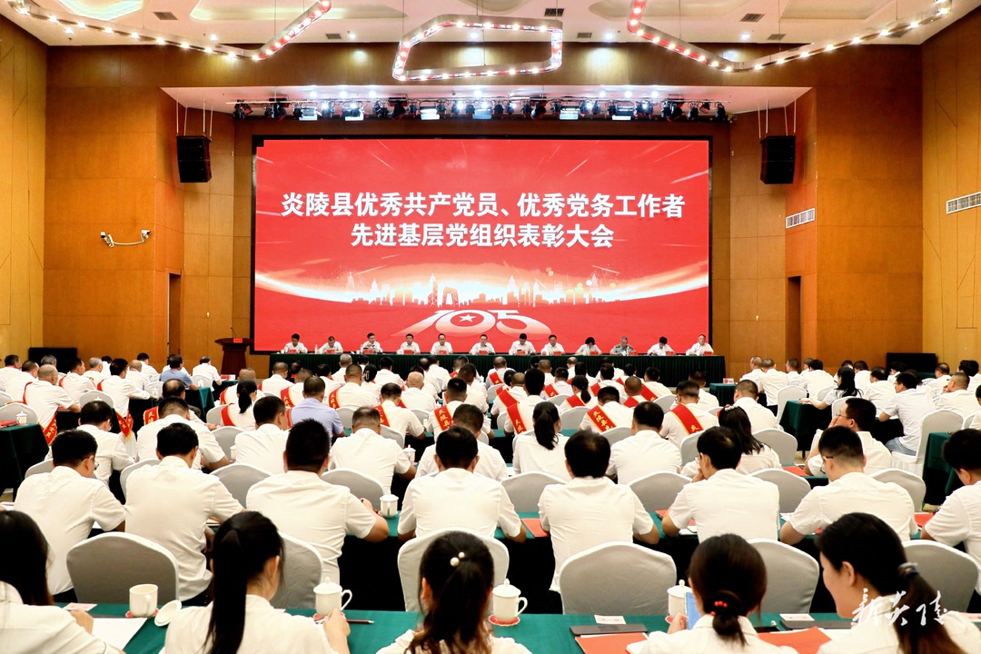 图文 | 炎陵县举行“两优一先”表彰大会