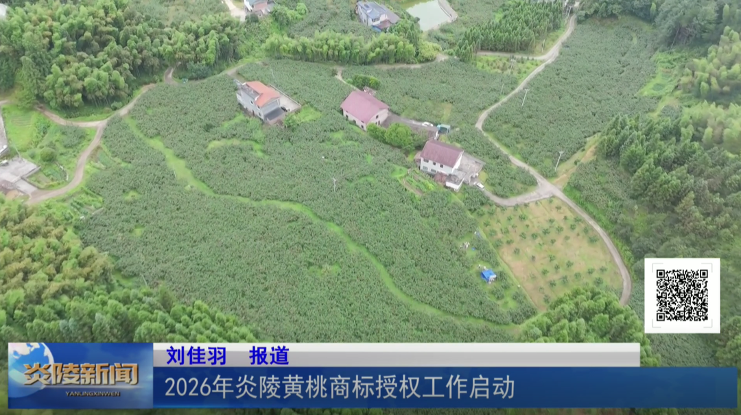 2026年炎陵黄桃商标授权工作启动