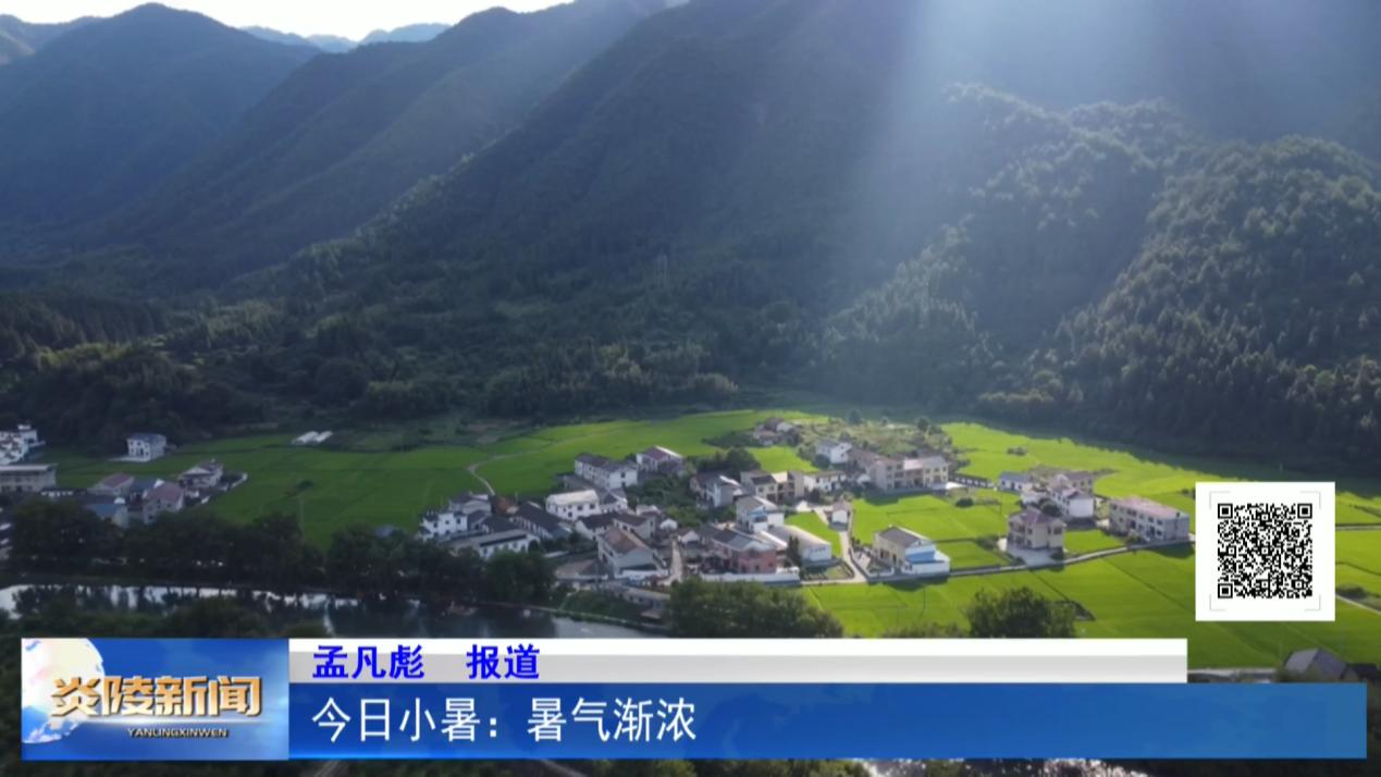 今日小暑：暑气渐浓