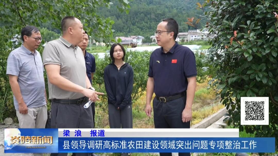 县领导调研高标准农田建设领域突出问题专项整治工作