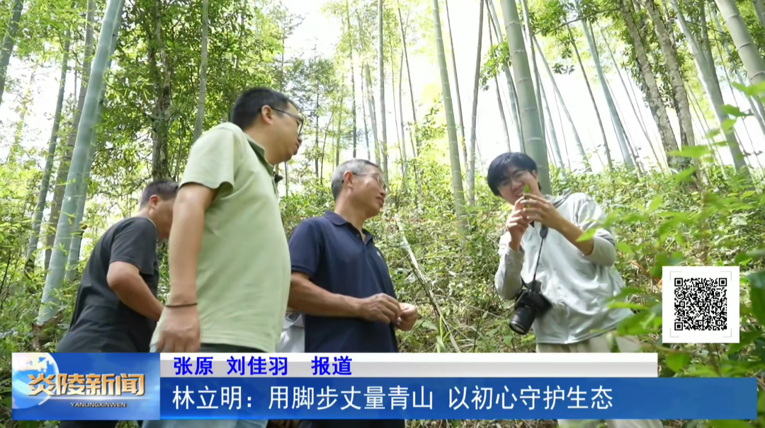 林立明：用脚步丈量青山 以初心守护生态