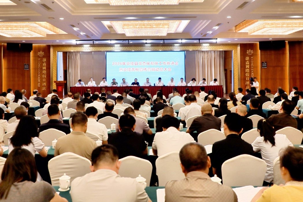 图文 | 2026年炎陵县常态化帮扶工作推进会暨炎陵黄桃宣传营销动员大会召开