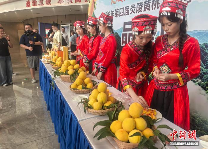 从“种桃卖桃”到“以旅富民” 湖南炎陵推动农文旅深度融合