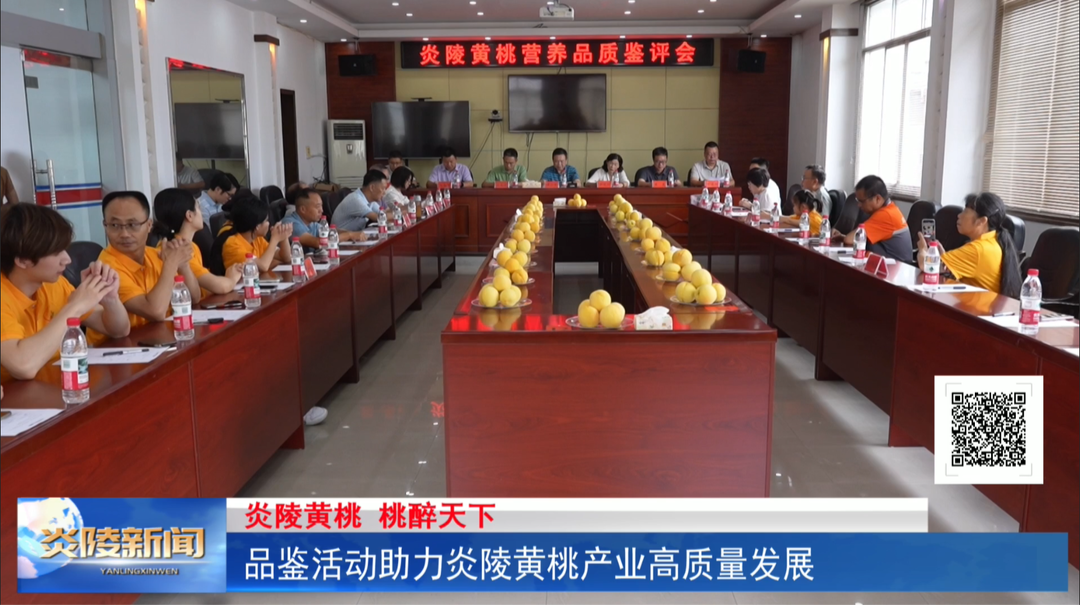 品鉴活动助力炎陵黄桃产业高质量发展
