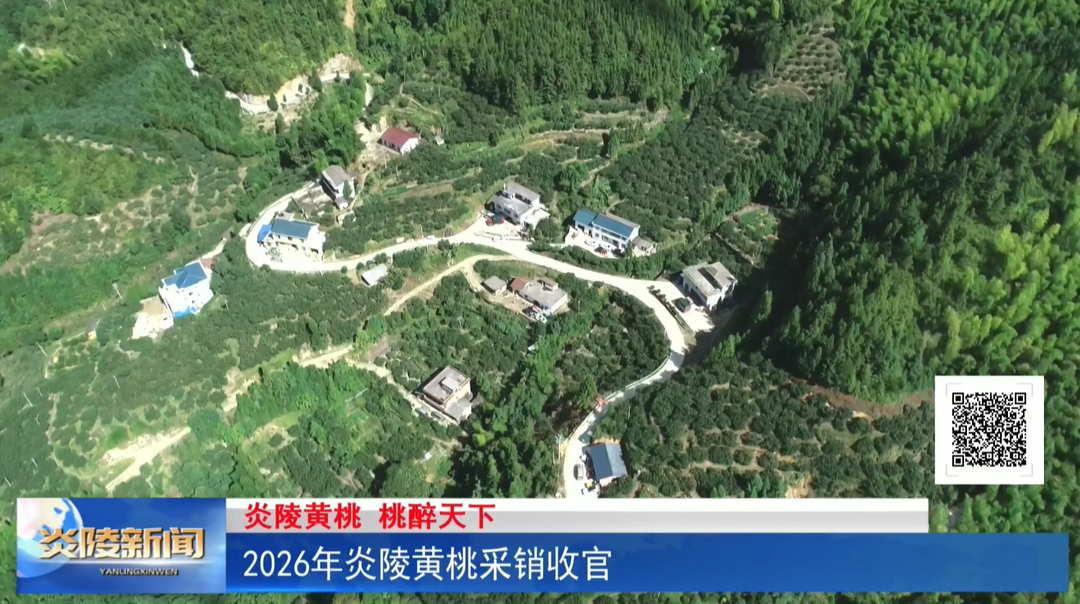 2026年炎陵黄桃采销收官