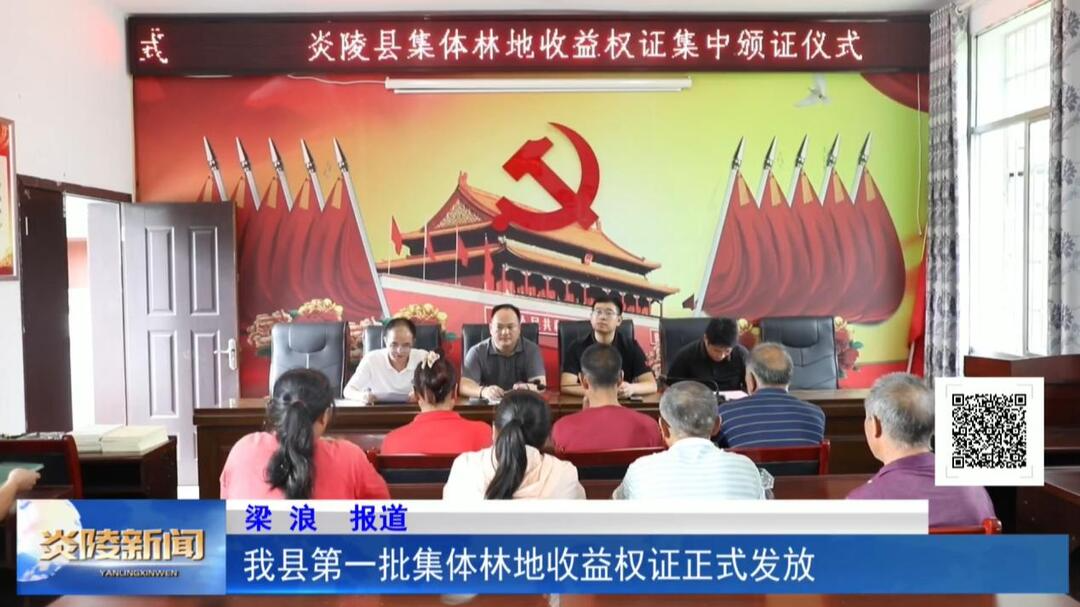 我县第一批集体林地收益权证正式发放