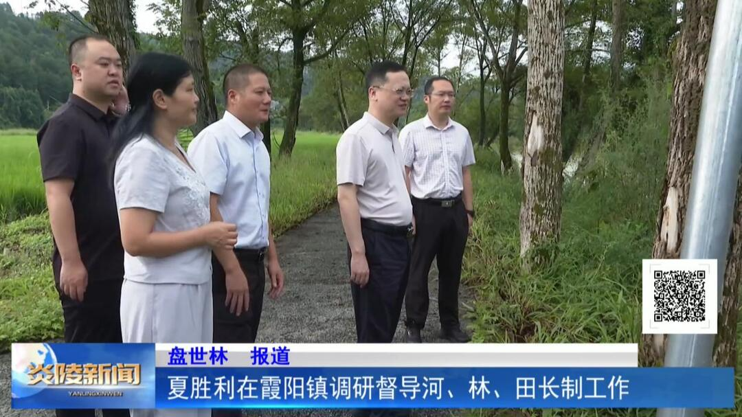 夏胜利在霞阳镇调研督导河、林、田长制工作