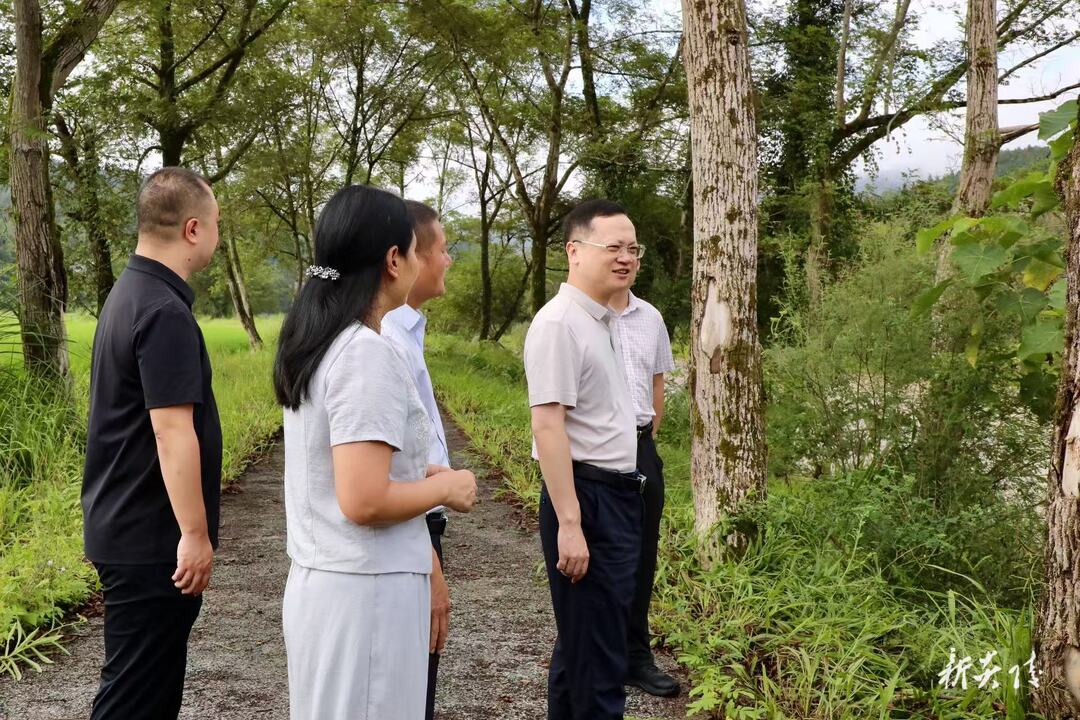 图文 |  夏胜利在霞阳镇调研督导河、林、田长制工作