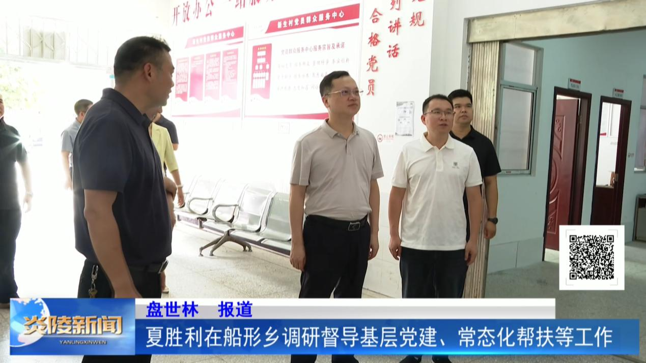 夏胜利在船形乡调研督导基层党建、常态化帮扶等工作