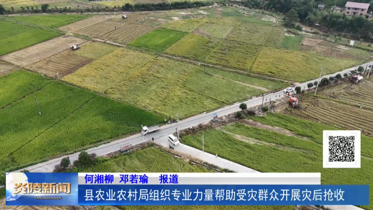 县农业农村局组织专业力量帮助受灾群众开展灾后抢收