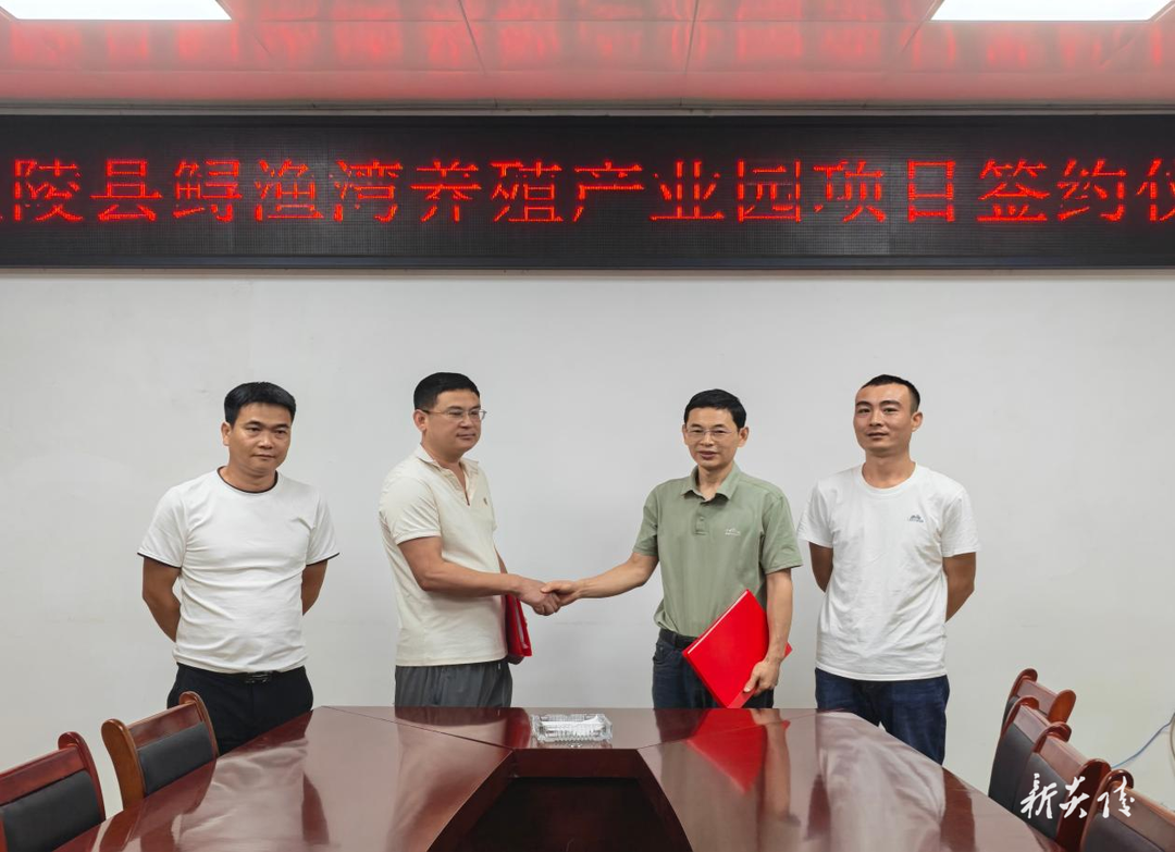 炎陵县中村瑶族乡签约冷水鱼养殖产业园项目