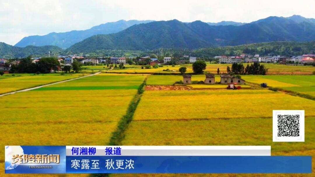 寒露至 秋更浓