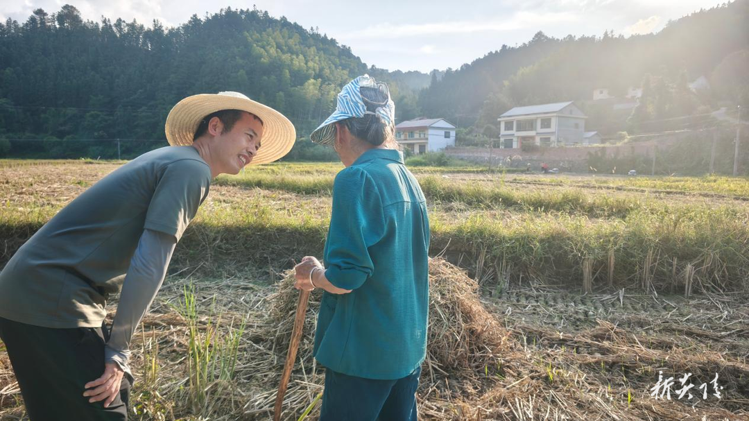 炎陵县沔渡镇多措并举筑牢秋收季秸秆禁烧生态防线
