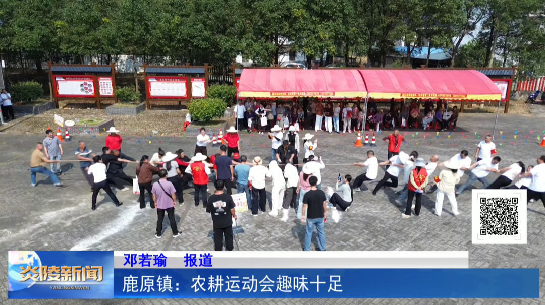 鹿原镇：农耕运动会趣味十足