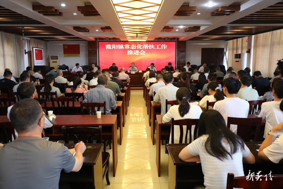 图文 | 霞阳镇常态化帮扶工作推进会召开 夏胜利参加