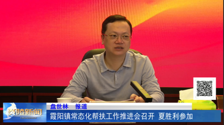 霞阳镇常态化帮扶工作推进会召开 夏胜利参加