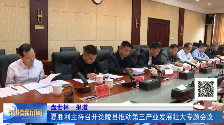 夏胜利主持召开炎陵县推动第三产业发展壮大专题会议