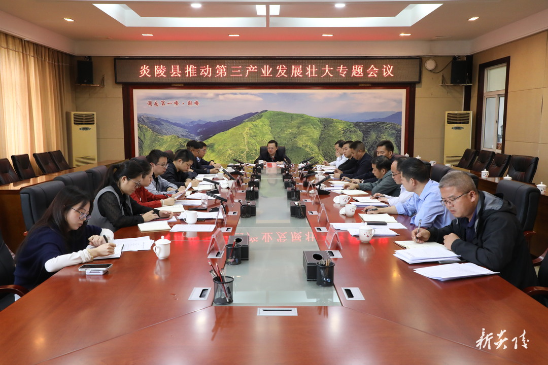 图文 | 夏胜利主持召开炎陵县推动第三产业发展壮大专题会议