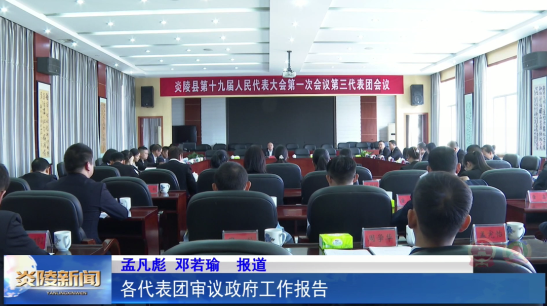 各代表团审议政府工作报告