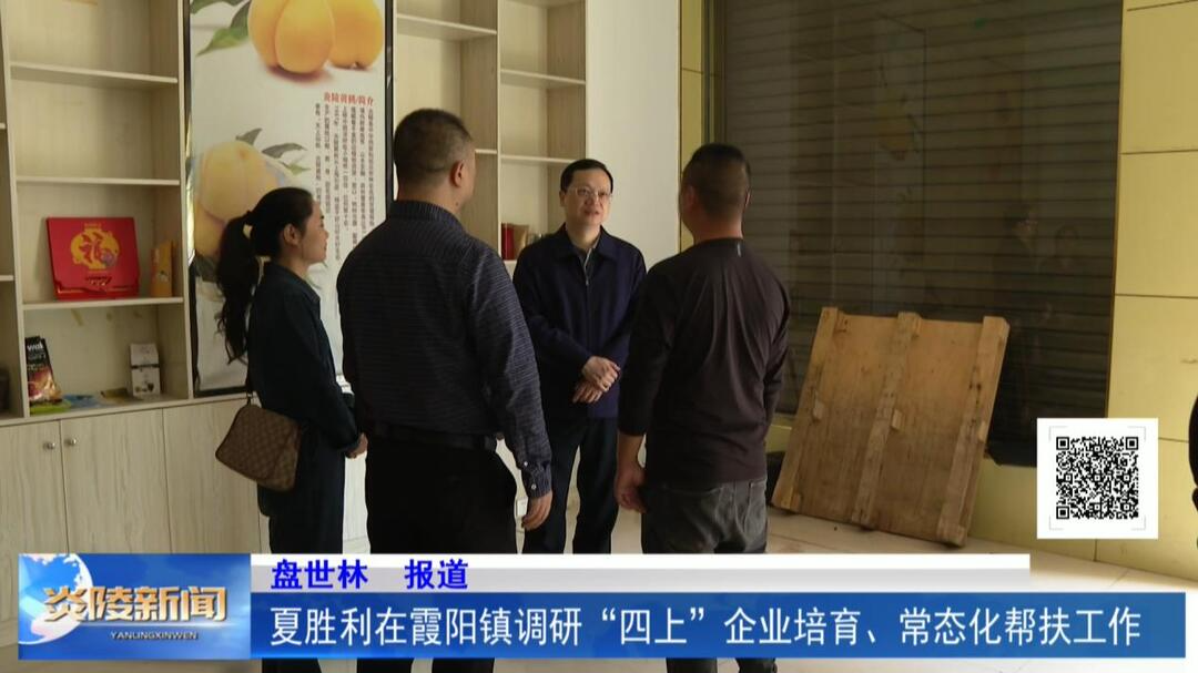 夏胜利在霞阳镇调研“四上”企业培育、常态化帮扶工作