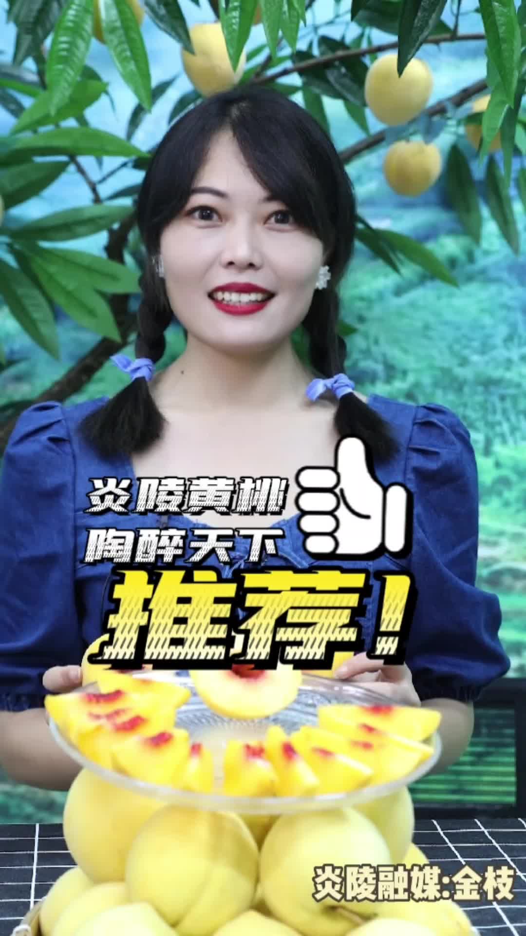 2022年炎陵黄桃大会  7月25日上午10点，不见不散！（短视频）