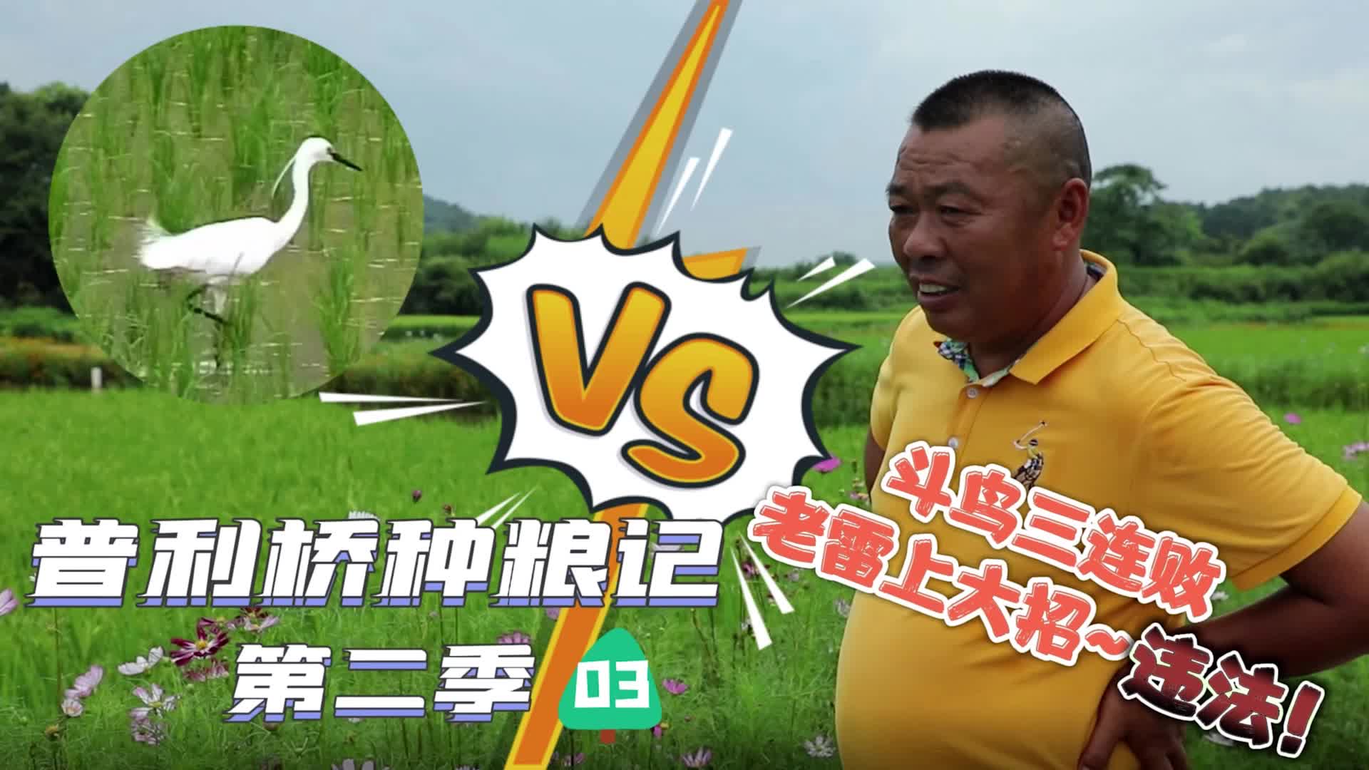 《普利桥种粮记·夏管篇》第3集