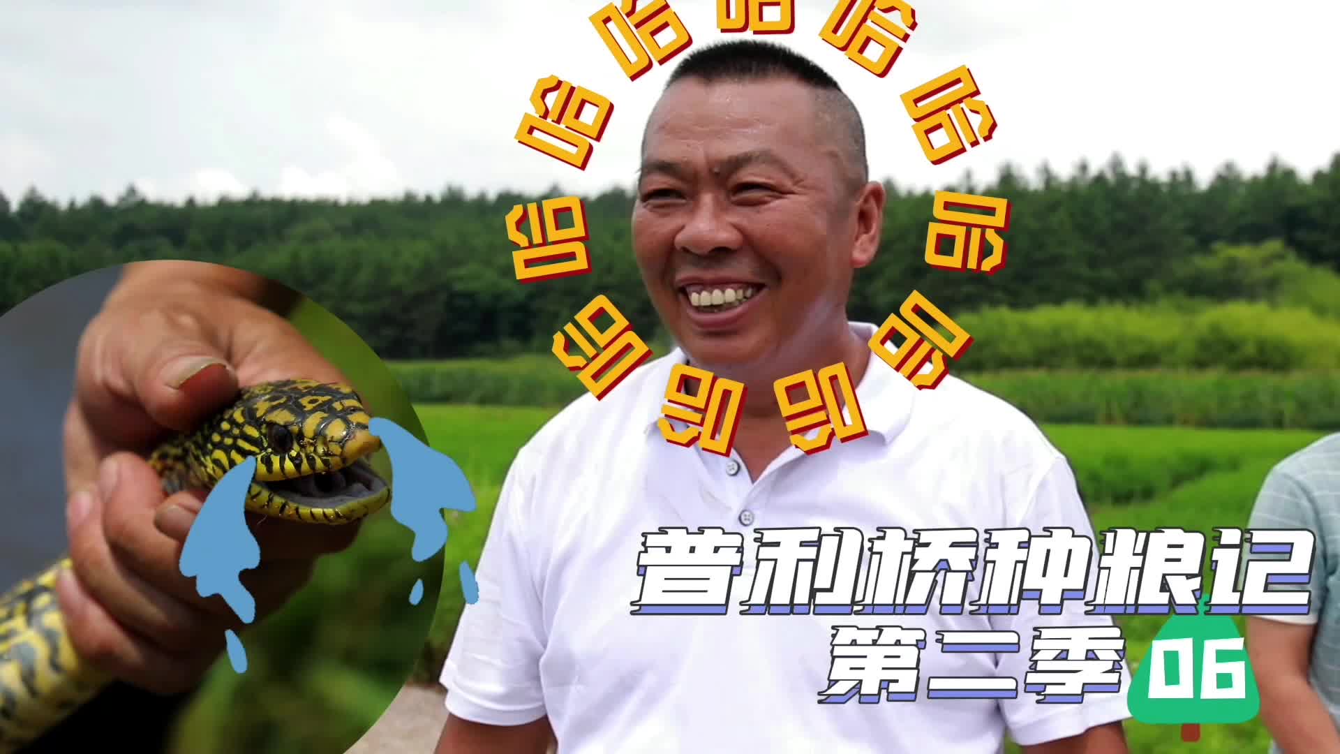 《普利桥种粮记·夏管篇》第6集
