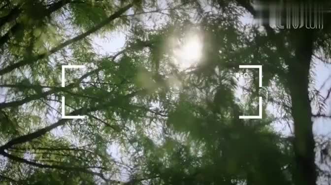 《记录 我的爱卫生活》