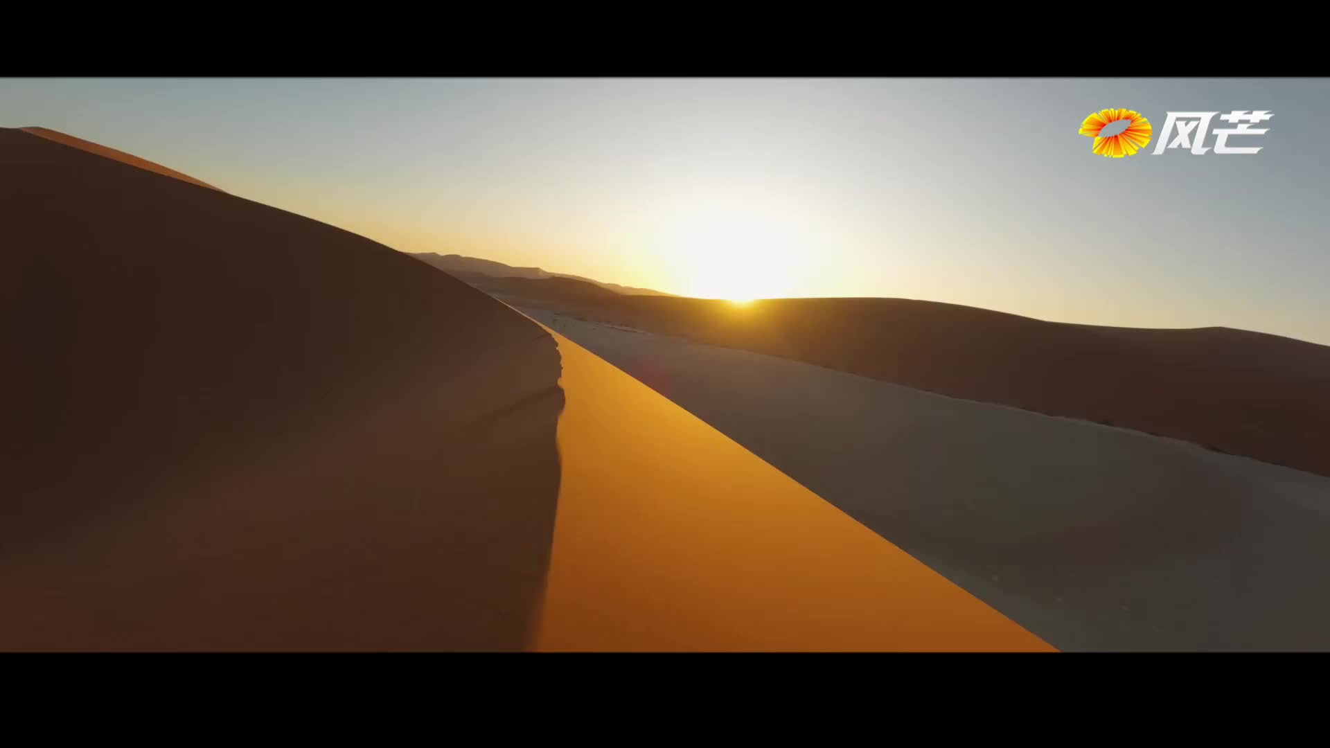 《真实亲诚 合作共赢 》