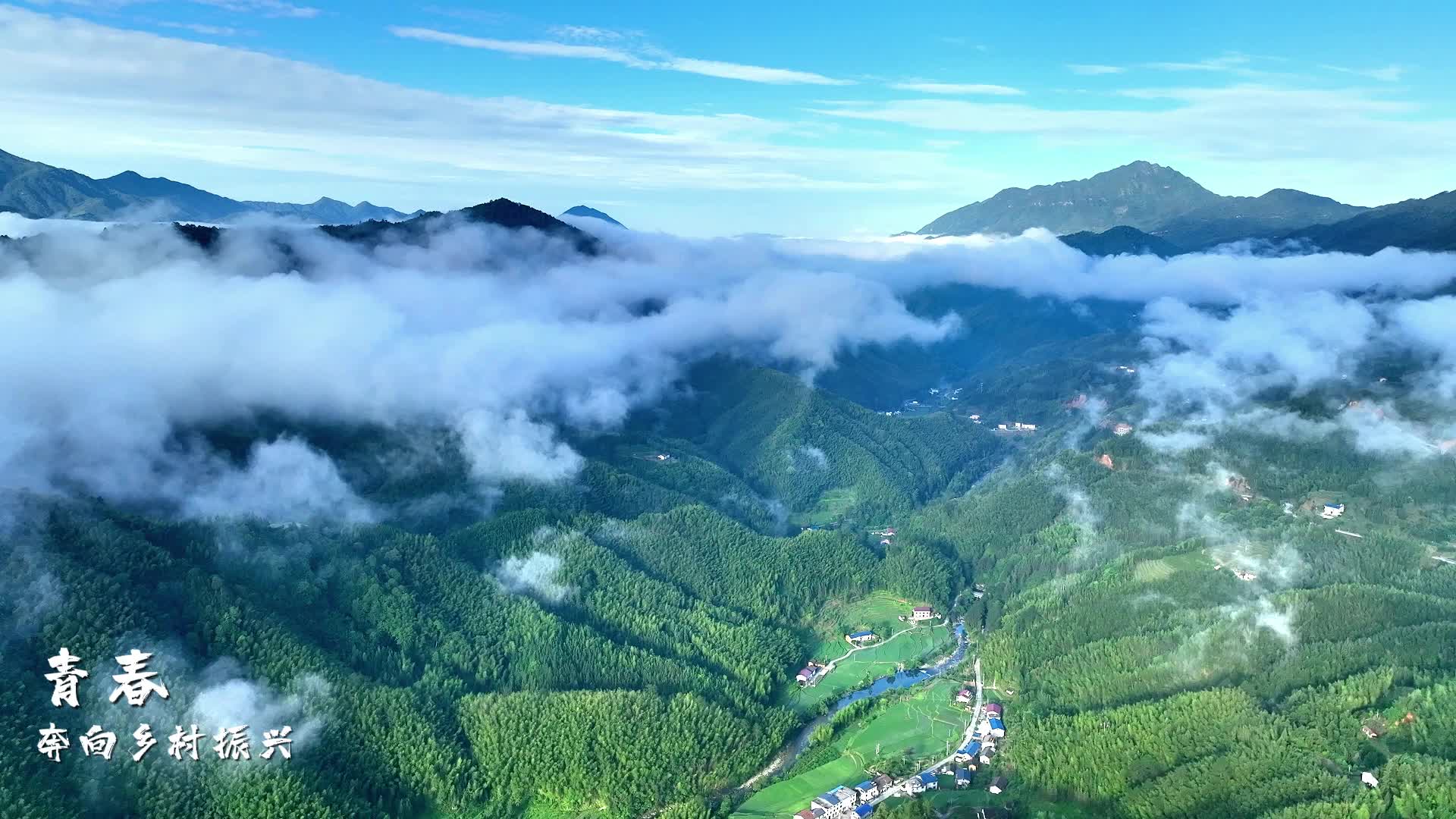 青春 奔向乡村振兴