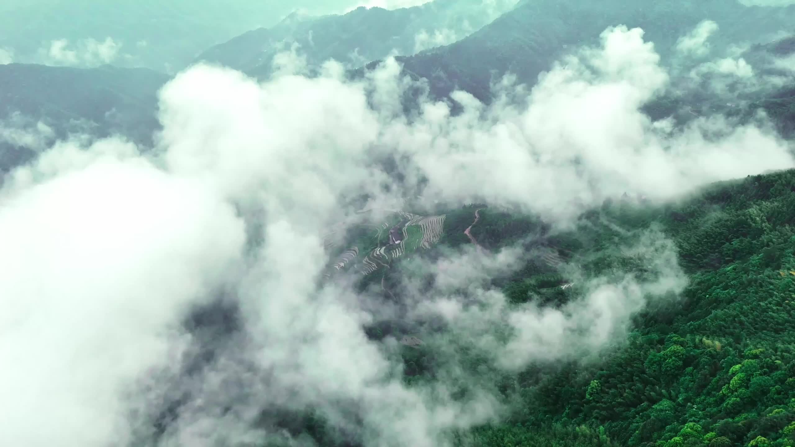 视频 | 炎陵：客家山歌洒洒唱