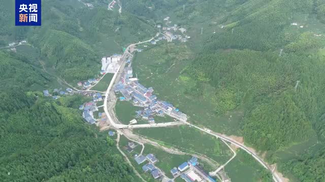 @爱吃桃的你 湖南炎陵9.5万亩黄桃大批上市中